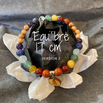 bracelet_7_chakras_collection_quilibre_Edition_limit_e_il_tait_une_fois_sur_terre_perle_6_mm_taille_17_cm_version_2