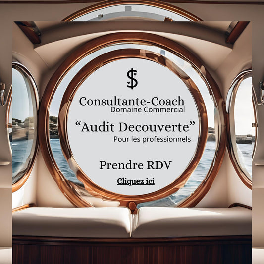 consultante coach domaine commercial pour les professionnels il était une fois sur terre audit découverte 